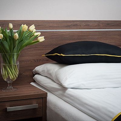 Aпартамент Желтый